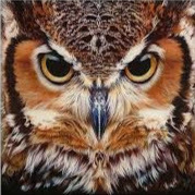 Christian Göransson avatar