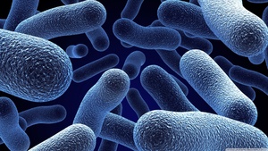 Andrés  Ramos avatar