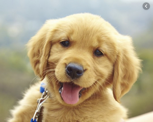 Harry Duckworth avatar