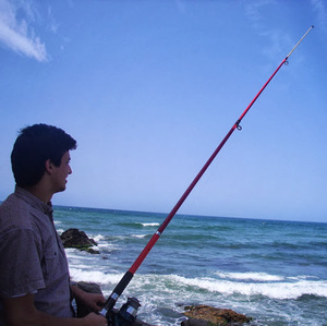 Abdallah BOURENANE Cherif avatar