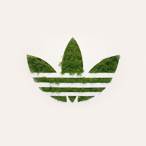 Sai Sri Vastav T avatar