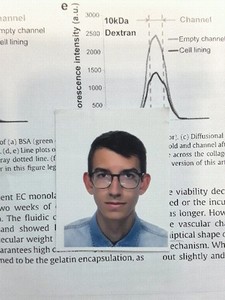 Guido Frigieri avatar