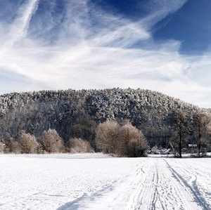 Seung-hee Han avatar