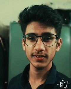 Pushp Vashisht avatar