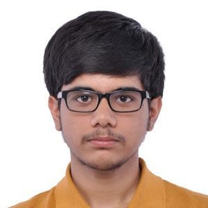 Sreyartha Mukherjee avatar