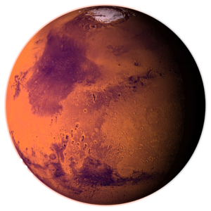 Danial Shabbir avatar