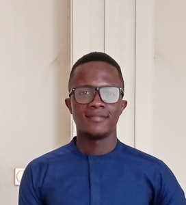 David Ugochukwu Asogwa - Control Systems Engineer