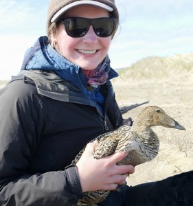 Lindsay Carlson avatar