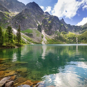 Alia Javed  Ali avatar