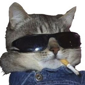 Iuliia Komarova avatar