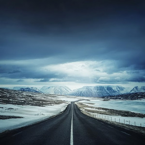 Vivek Trivedi avatar