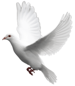 Gokul Thiagarajan avatar