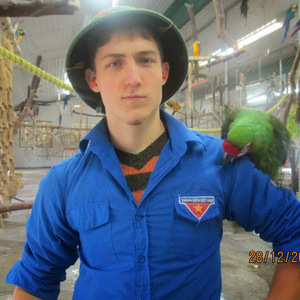 Marc-Antoine Larrivée avatar