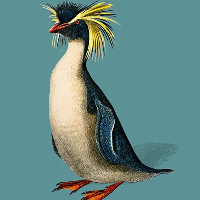 Seamus Murray avatar