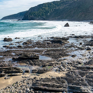 Richard Duchek avatar