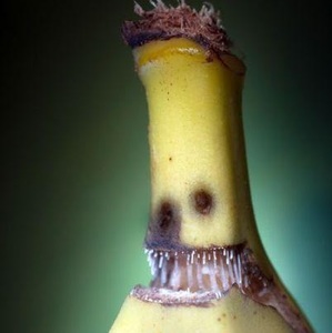 Cornelius Hardt avatar