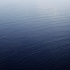 Malik Sullins avatar