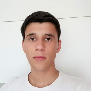 Ilya Balitskiy avatar