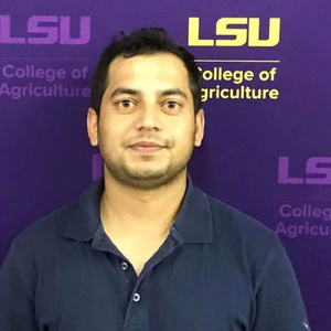 Sandeep Chapagain avatar