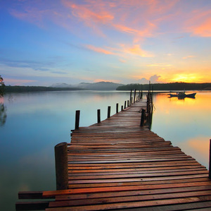 Anshuman Sharma avatar