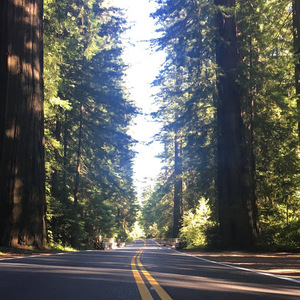 José Lafrentz avatar