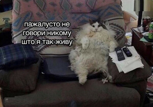 Валентина Кетова avatar