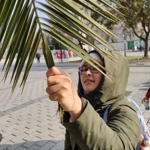 Fatima Sabitova avatar