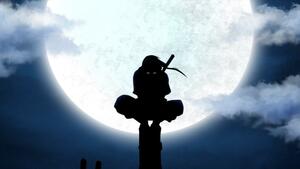 Ritik Shukla avatar