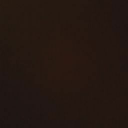 anisha abdul samad avatar