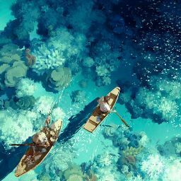 沛岑 陳 avatar