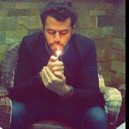 Ammar Shaalan avatar