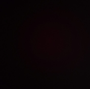 Monisha Basak avatar