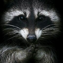 kanchari kumar swamy avatar