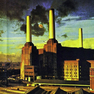 Ricardo Maldonado Dominguez avatar