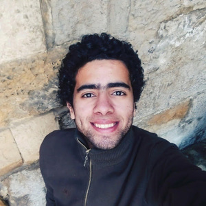 Mahmoud Ghazy avatar