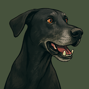 User portfolio avatar