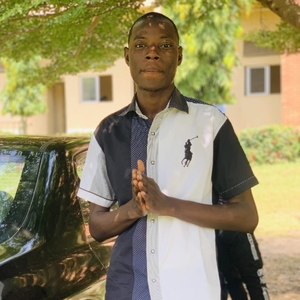 User portfolio avatar