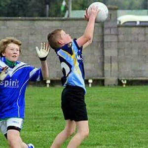 Diarmuid Brady avatar