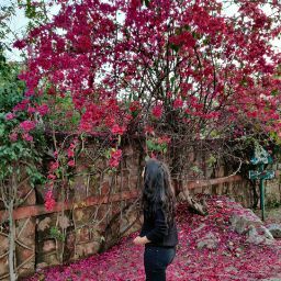 Ishita Chitkara avatar