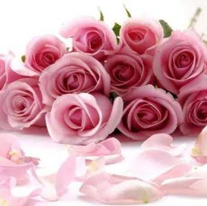 Sai Manvitha Enadula avatar