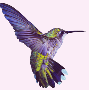 chanakan chobrot avatar