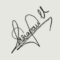 Sravan Vuppalapati avatar