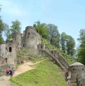 Azadeh Tavassol avatar