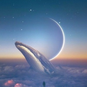 Ahoud Algargoush avatar