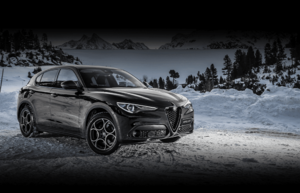 Daymler OFarrill avatar