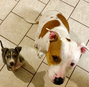 Yang Liu Kunz avatar