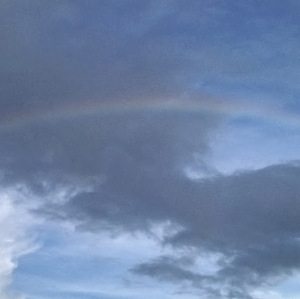 PIOUS PRADHAN avatar