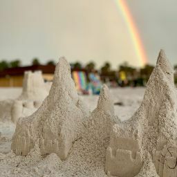 Praveena sadasivuni avatar