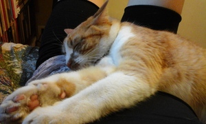 Pilar Martinez avatar