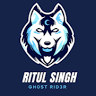 Ritul Singh avatar